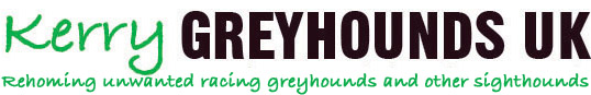 Kerry Greyhound Connection